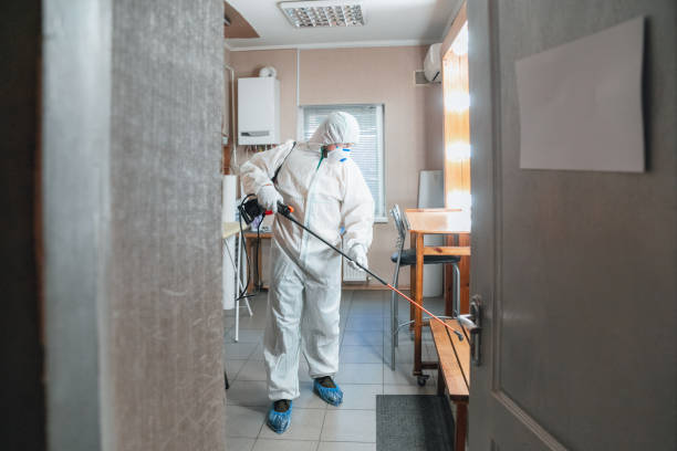 Best Mold Remediation for Healthcare Facilities  in La Verne, CA